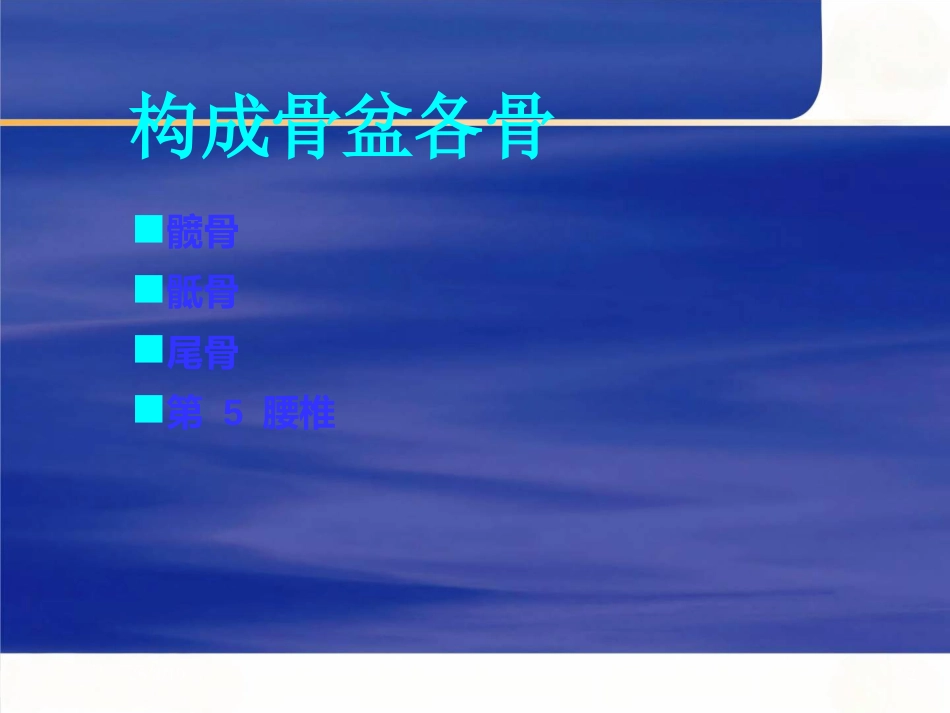 骨盆的 临床解剖_第2页
