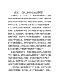 篇三：《护士长岗位培训总结》