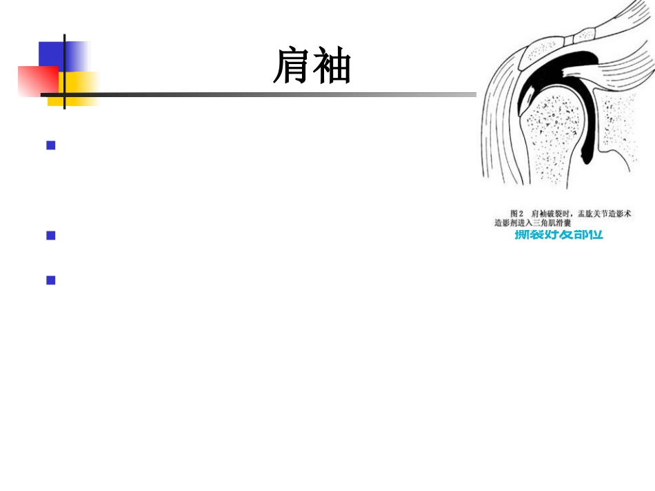 肩关节病变 MRI解剖和诊断_第15页