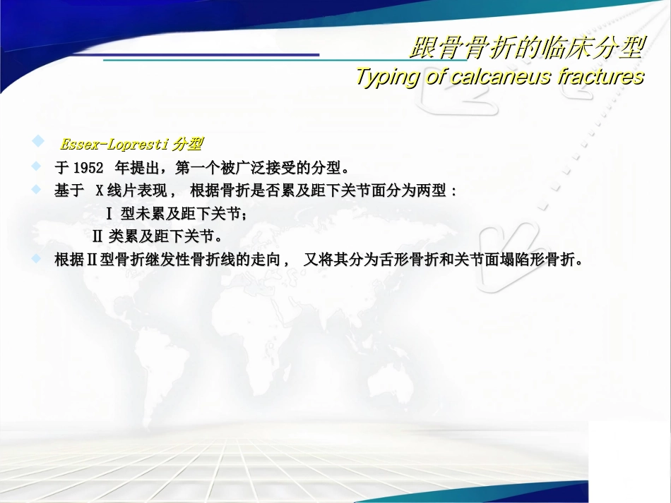 跟骨骨折 的分型与治疗讲座_第9页