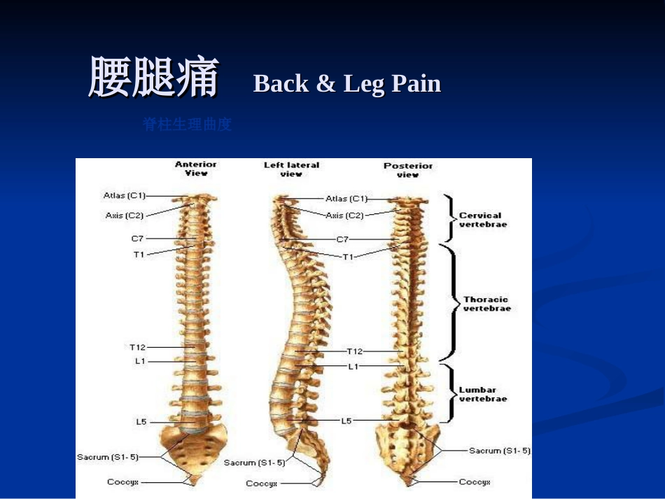 五年制讲稿——腰腿痛和颈肩痛_第6页