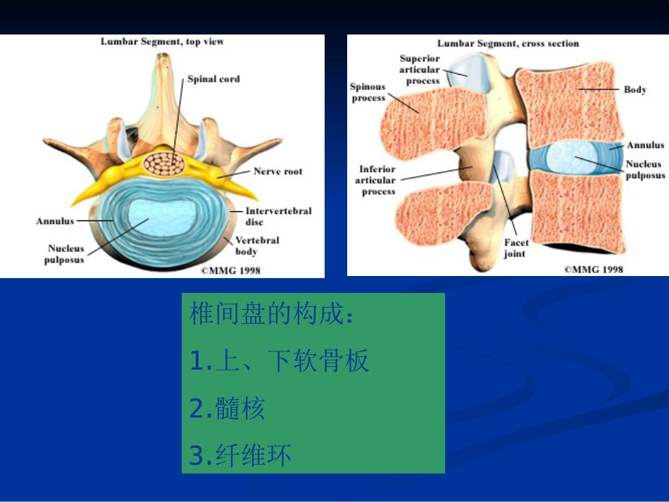 五年制讲稿——腰腿痛和颈肩痛_第7页