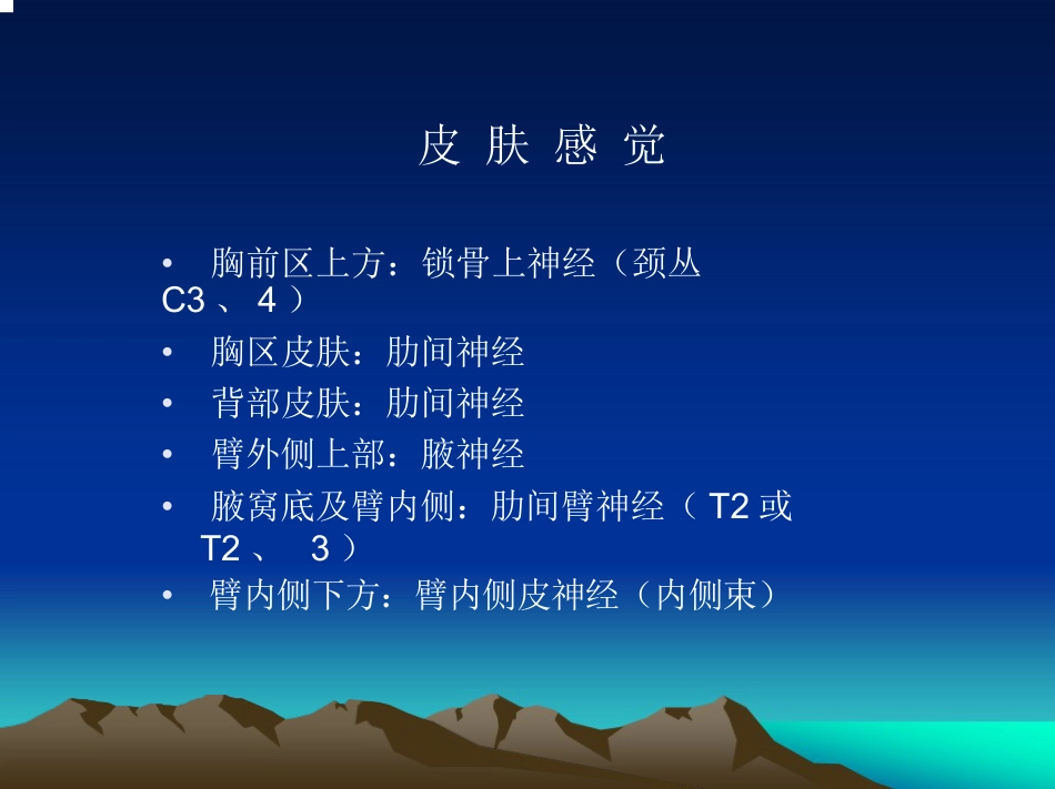 肩关节 的解剖与手术入路_第11页