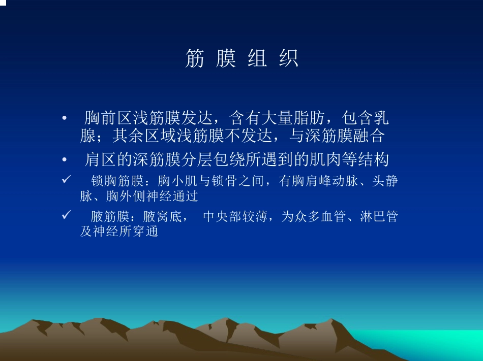 肩关节 的解剖与手术入路_第13页