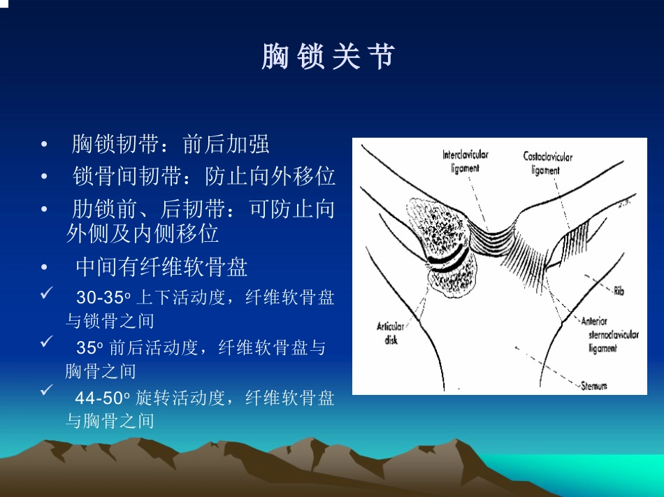 肩关节 的解剖与手术入路_第7页