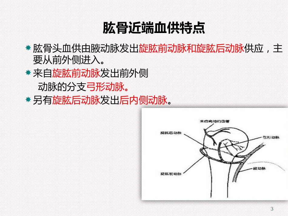 肱骨近端骨折 分型及治疗_第3页