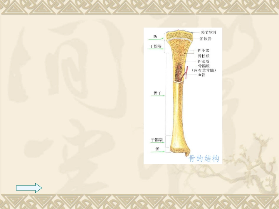 骨质 疏松_第3页
