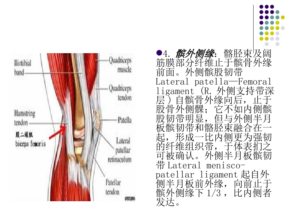 复发性 髌骨脱位_第8页