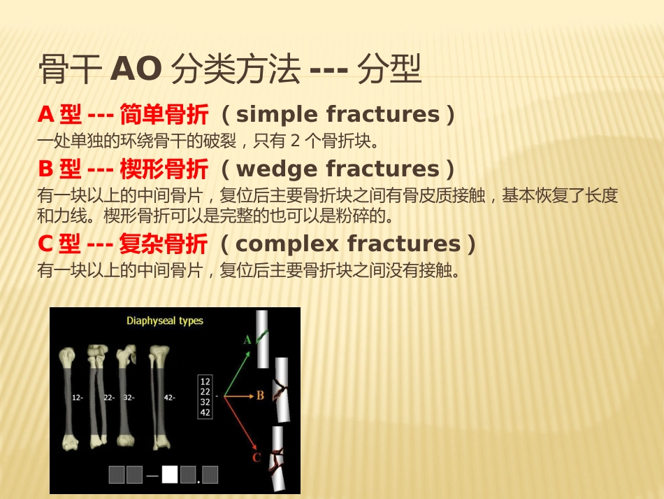 骨折 AO分型_第6页