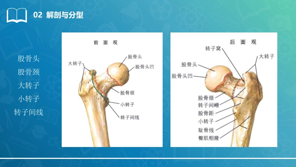 股骨粗隆间骨折_第9页