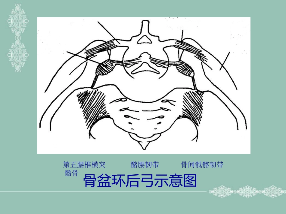 骨盆 髋臼骨折的分型_第3页