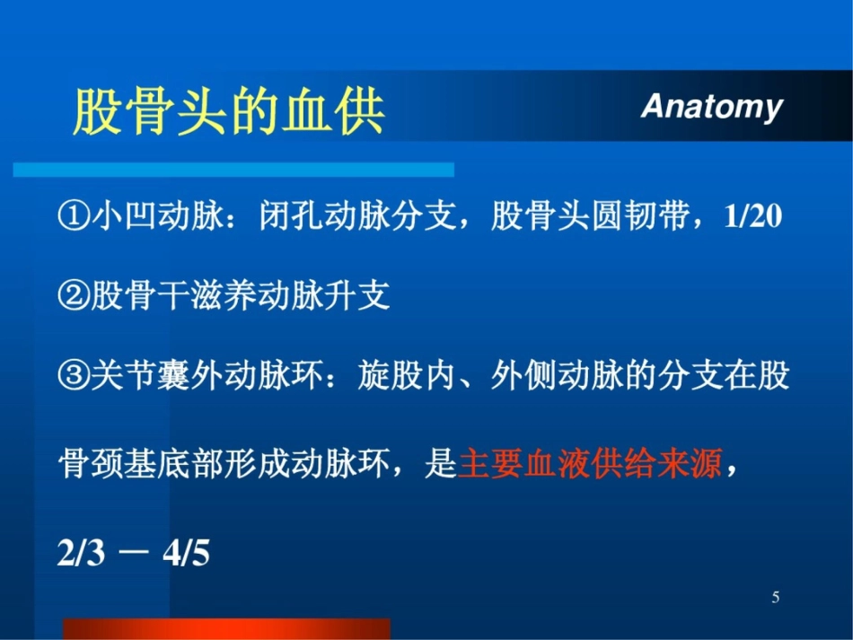 股骨颈骨折ppt_第5页