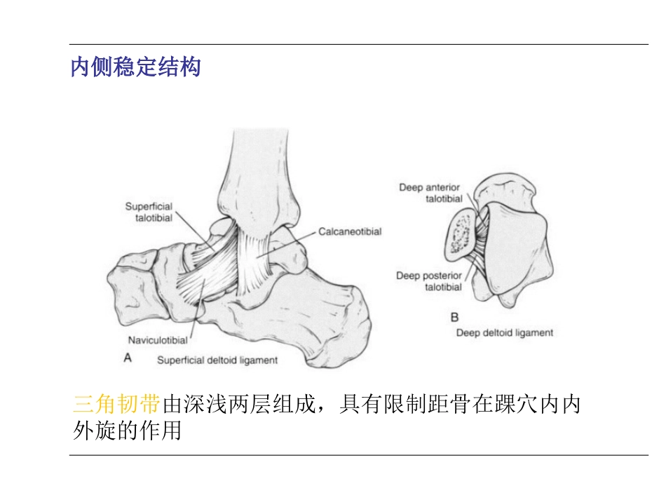 踝关节 骨折_第3页