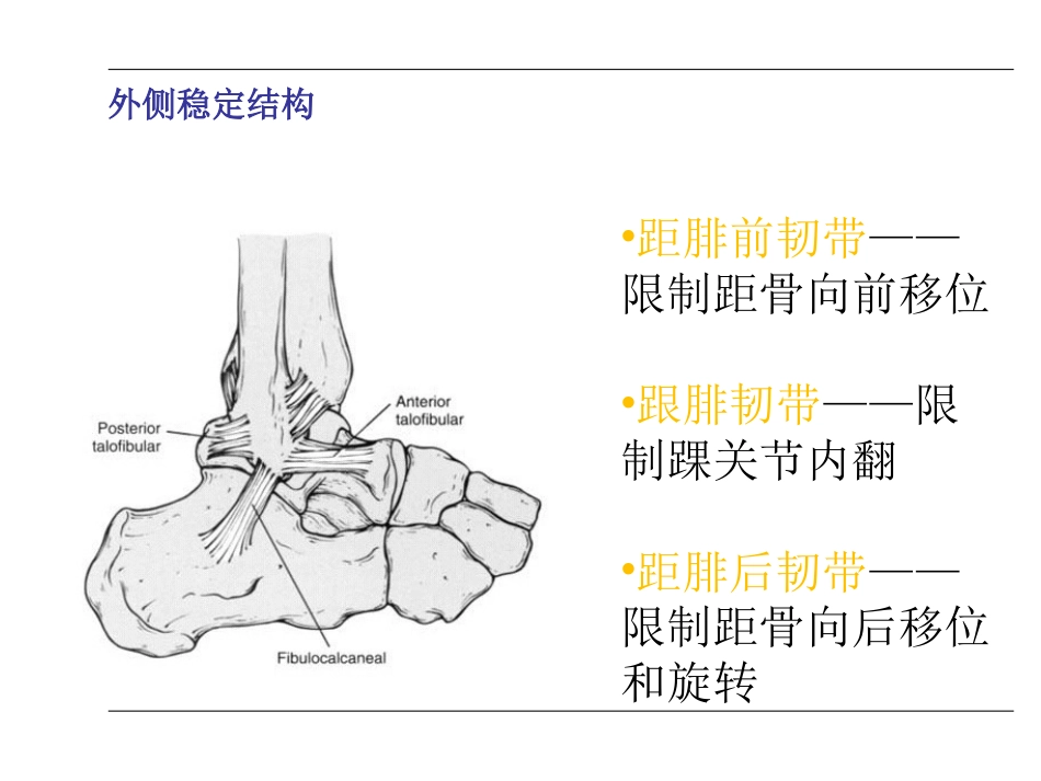 踝关节 骨折_第4页