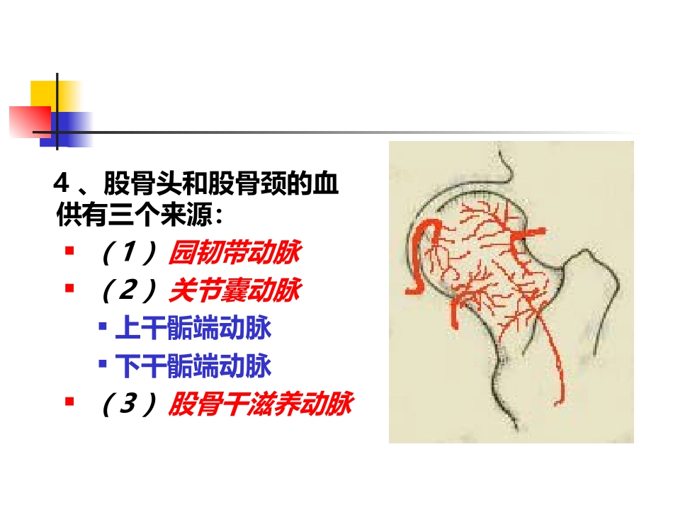 股骨颈 骨折概述_第5页