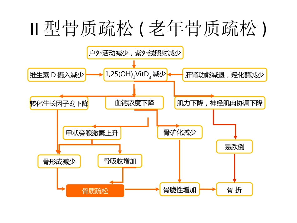 骨质疏松 的诊断与治疗_第10页