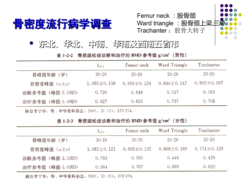 骨质 疏松症的诊治_第9页