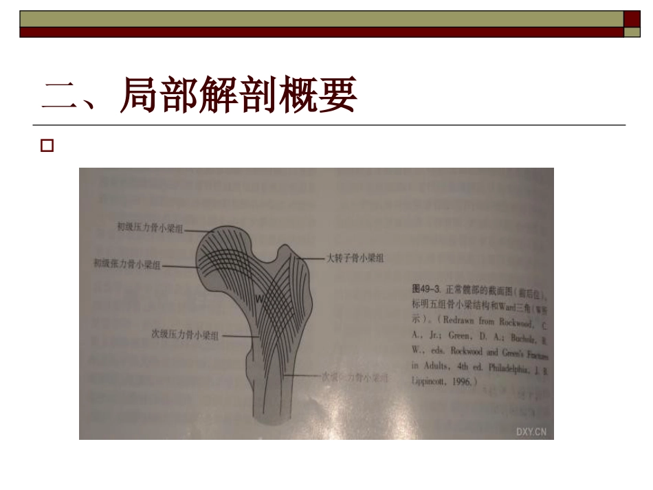 股骨粗隆间 骨折PPT_第6页