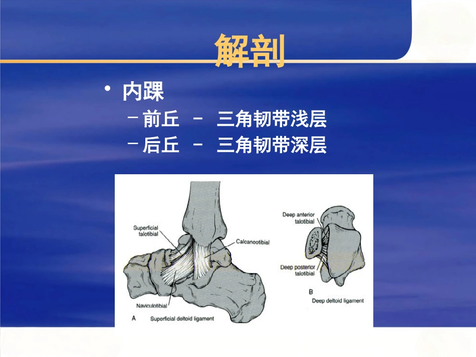 踝关节 骨折的治疗_第3页