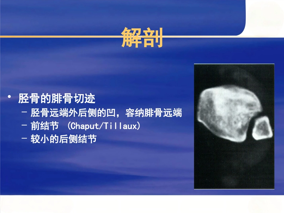 踝关节 骨折的治疗_第4页