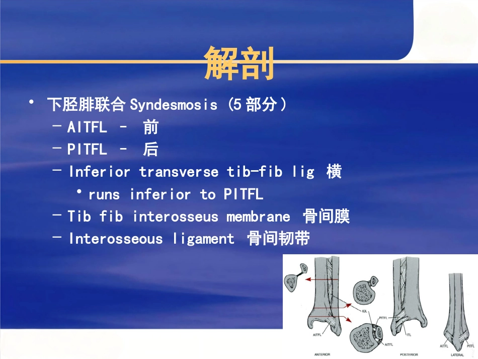 踝关节 骨折的治疗_第5页