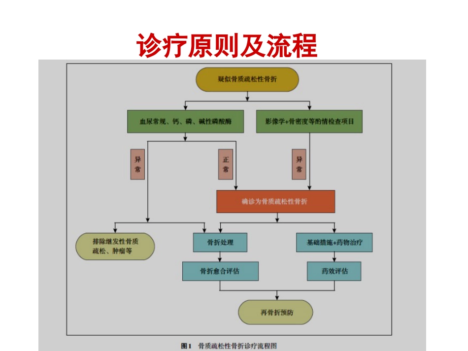 骨质疏松性 骨折_第12页