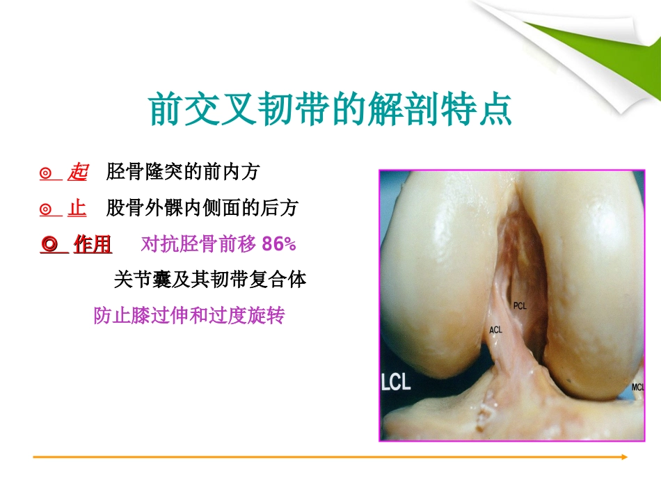 ACL 重建篇_第4页