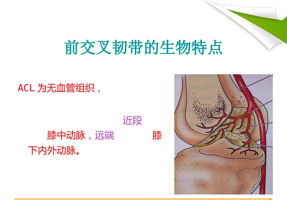 ACL 重建篇_第8页