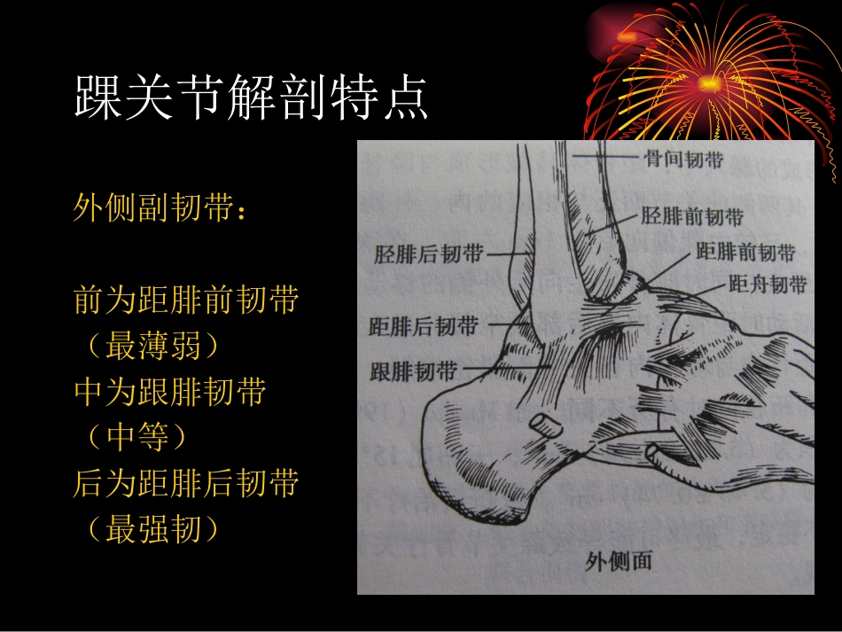 踝关节骨折分型1_第5页