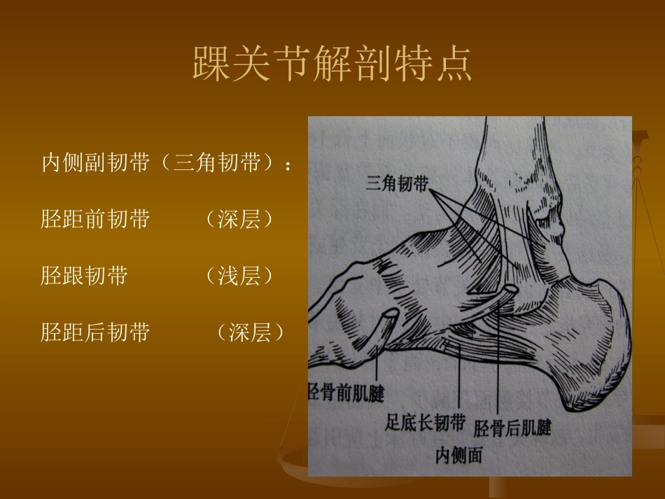踝关节骨折分型1_第6页
