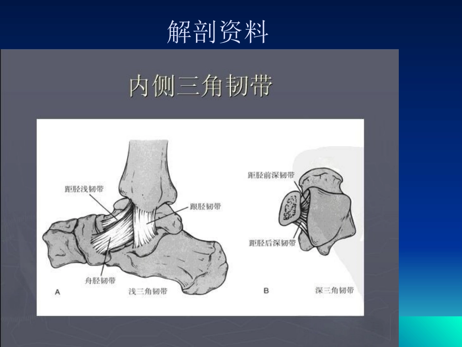踝关节 骨折的分型2_第2页