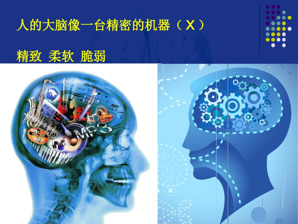神经科-颅内压增高和脑疝_第2页