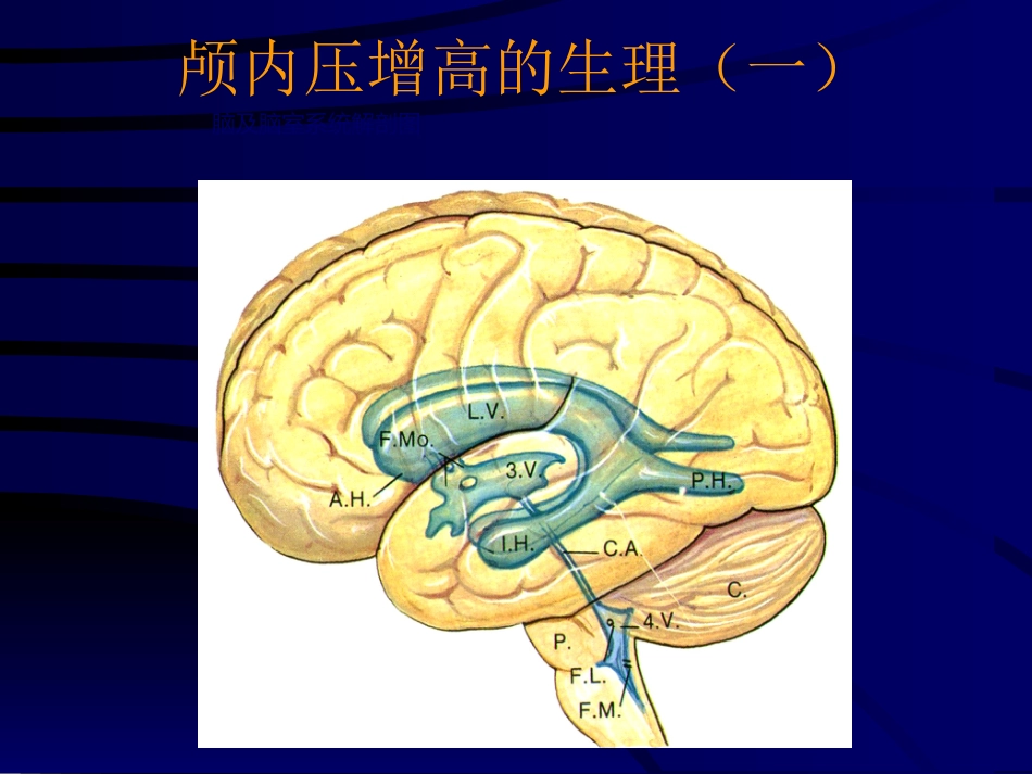 神经科-颅高压_第4页