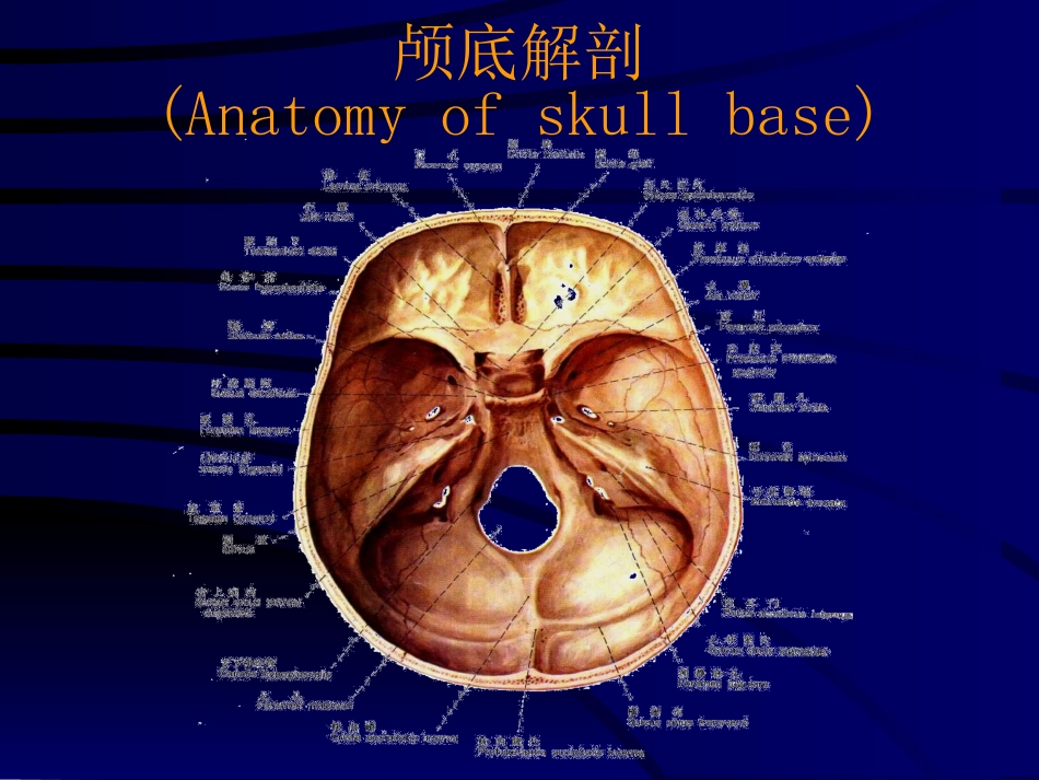 神经科-颅高压_第8页