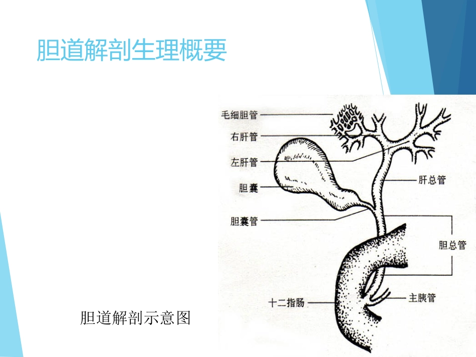 外科-胆道疾病_第5页