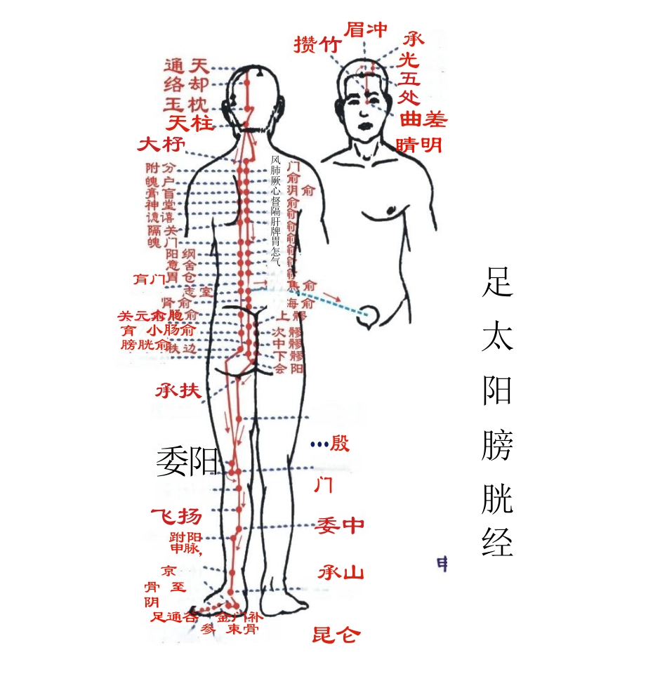 人体经络图(含方向和穴位)_第10页