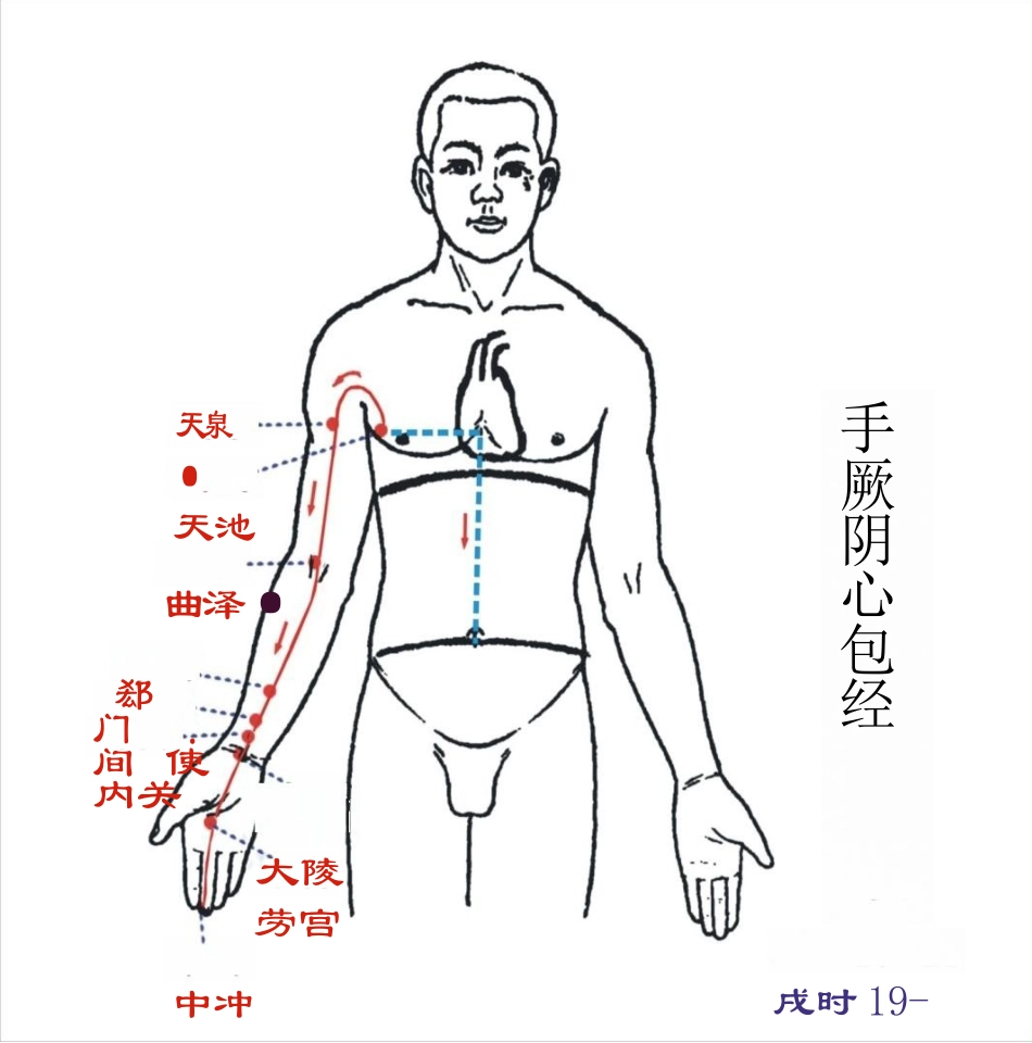人体经络图(含方向和穴位)_第12页