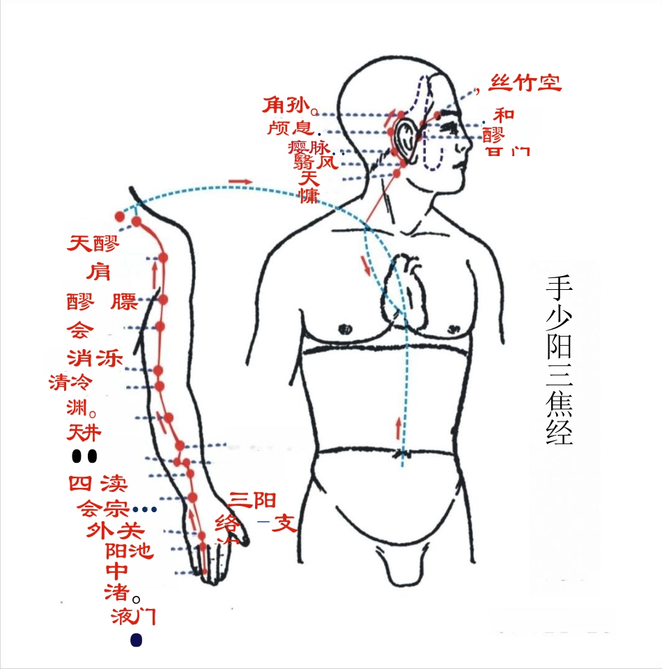 人体经络图(含方向和穴位)_第13页