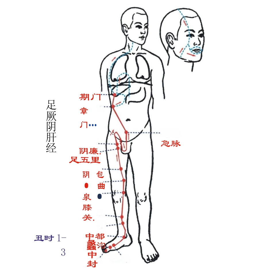 人体经络图(含方向和穴位)_第15页