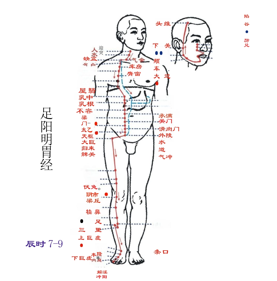 人体经络图(含方向和穴位)_第4页