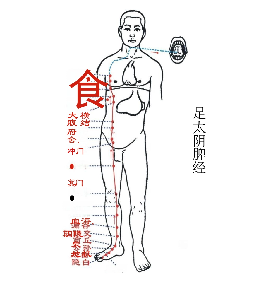 人体经络图(含方向和穴位)_第6页
