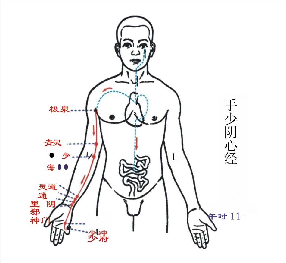 人体经络图(含方向和穴位)_第8页