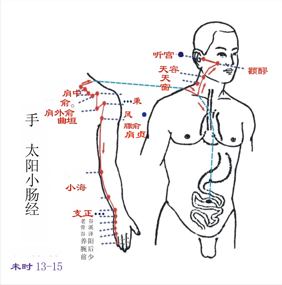 人体经络图(含方向和穴位)_第9页
