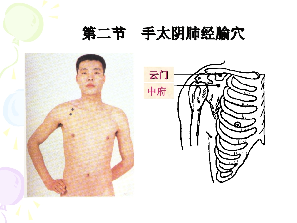 人体经络穴位图谱1肺经_第6页