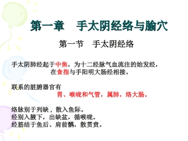 人体经络穴位图谱1肺经