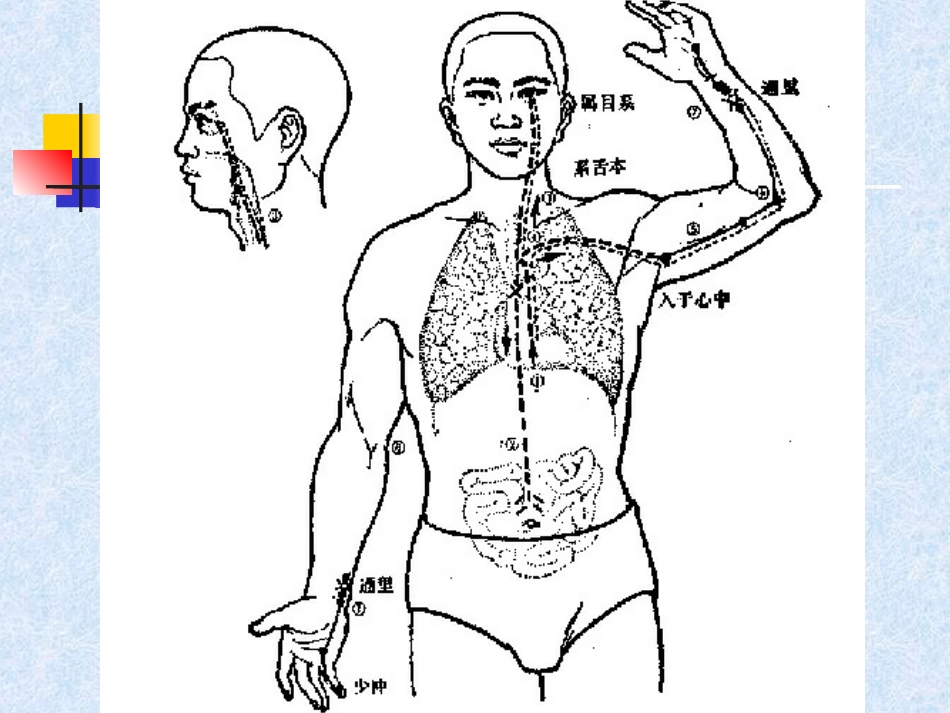 人体经络穴位图谱5心经_第11页