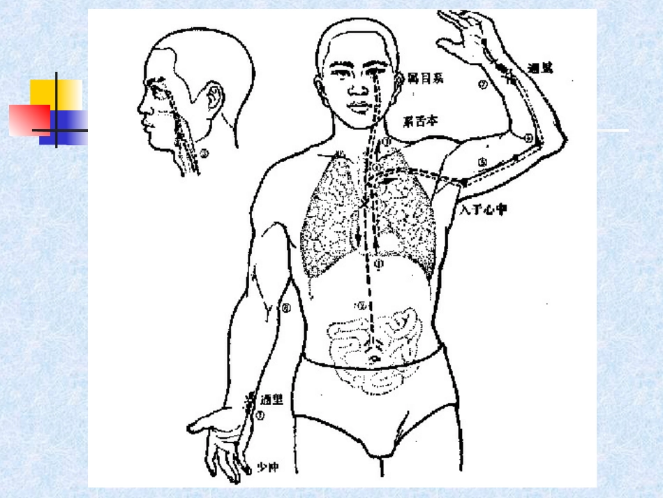 人体经络穴位图谱5心经_第4页
