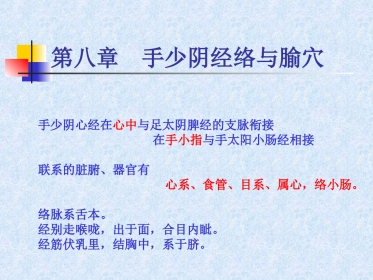 人体经络穴位图谱5心经