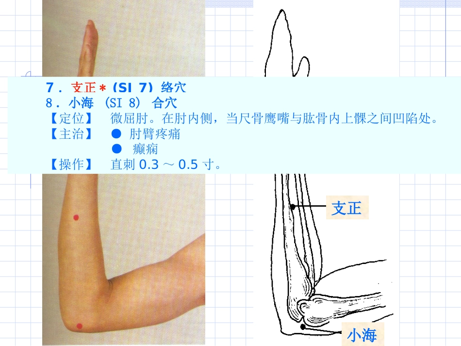 人体经络穴位图谱6小肠经_第10页