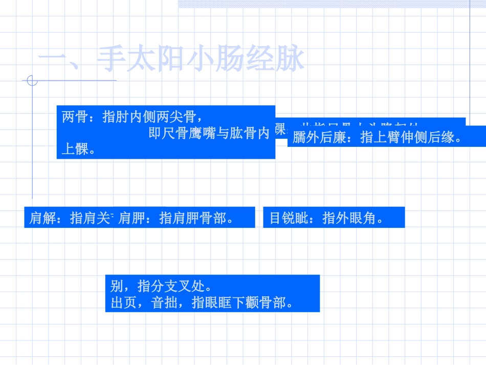 人体经络穴位图谱6小肠经_第2页